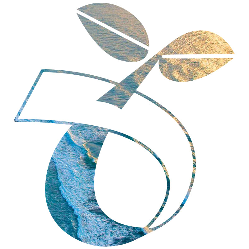 biodegradable-and-compostable-icon