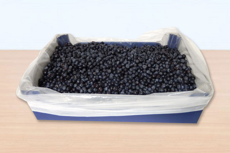 food-blueberries-liner