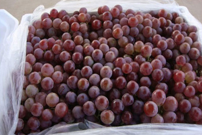 food-grape-liner